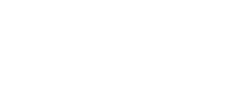 TLS Limousinenservice
